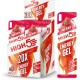 Гель енергетичний High5 Energy Gel 40 г ягоди