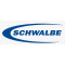 Schwalbe